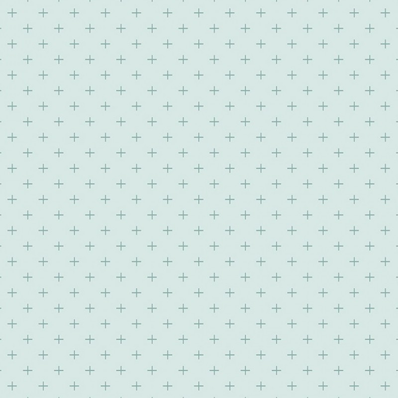 Gingham Gardens Plus Aqua | C10357R-AQUA