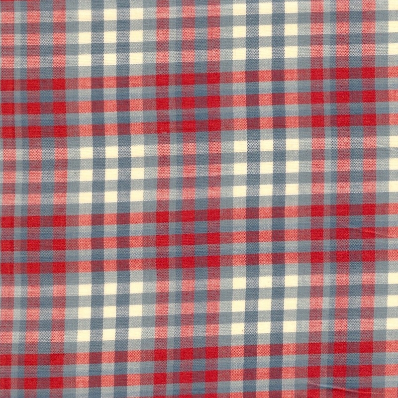Northport Silky Wovens Blue and Red Plaid | 12215-24